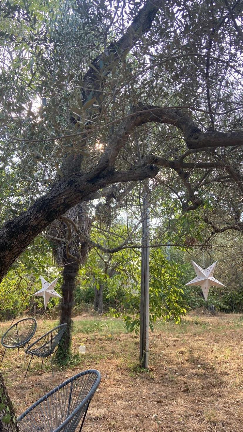 Bolsena Cento20 - Rooms & Relax Luaran gambar